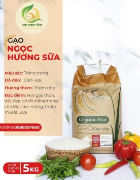 GẠO NGỌC HƯƠNG SỮA LOẠI 5kg