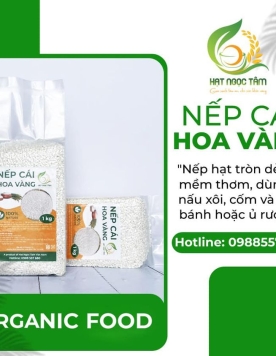 GẠO NẾP CÁI HOA VÀNG 1KG