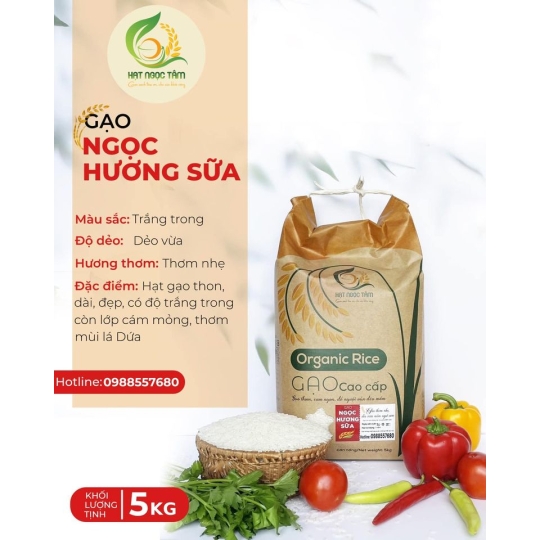 GẠO NGỌC HƯƠNG SỮA LOẠI 5kg