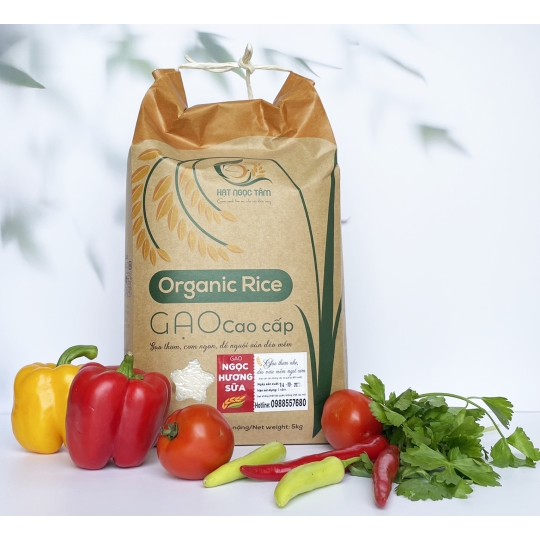 GẠO NGỌC HƯƠNG SỮA 20KG